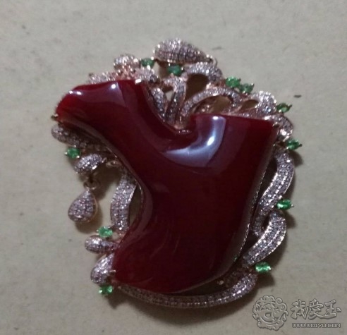 你印象中的珊瑚是怎么样的？关于价格看色的珊瑚究竟如何？来看看