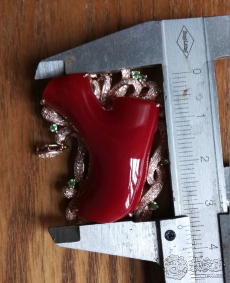 你印象中的珊瑚是怎么样的？关于价格看色的珊瑚究竟如何？来看看