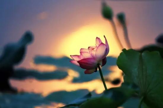 是非不辩即解脱的下一句是什么,是非总以不辩为解脱