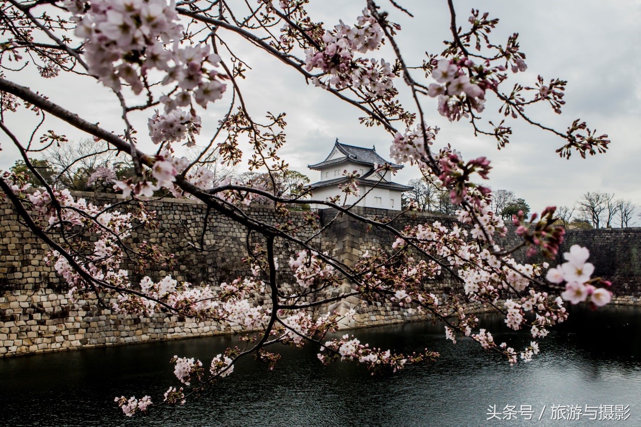 认识日本瓷器,认识日本国旗