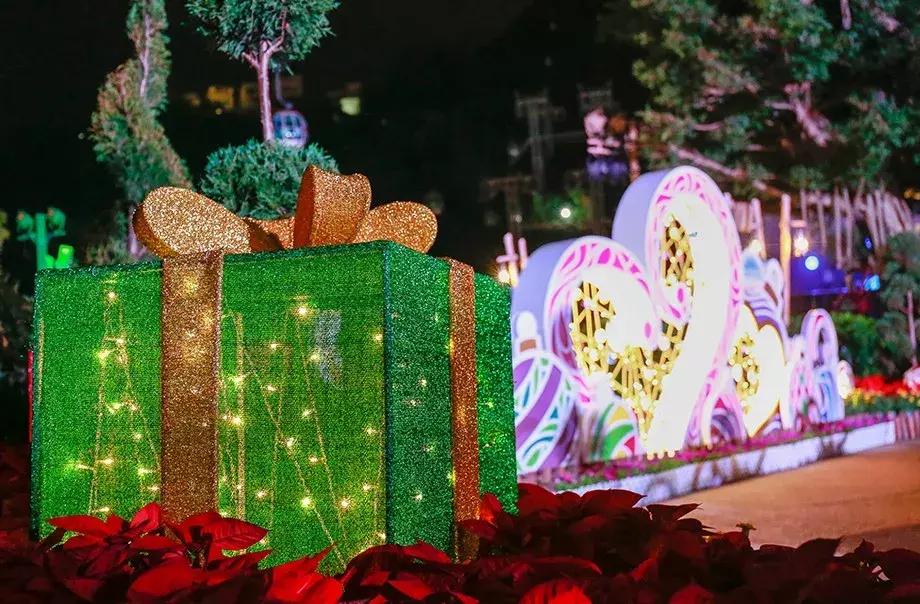 去香港一定要关注的五件事,去香港关注事项和攻略