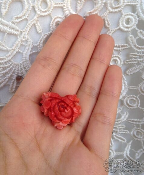 你印象中的珊瑚是怎么样的？关于价格看色的珊瑚究竟如何？来看看