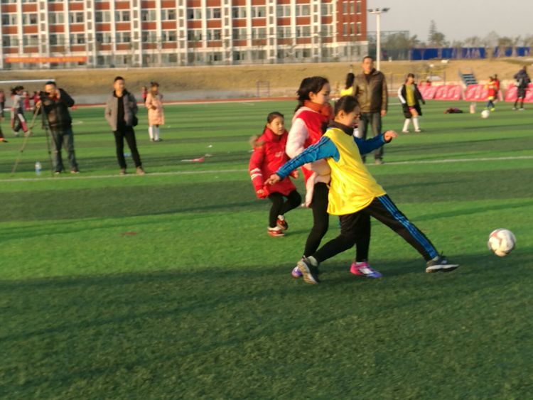 国际足联追梦女孩足球节,追梦女孩足球赛举办方案