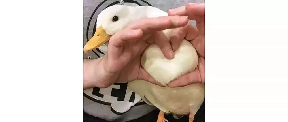 这组圣诞礼物……我打赌，你们会跟TA抢着玩！