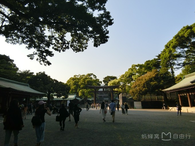 明治神宫参观,明治神宫和哪些景点一起游览好玩