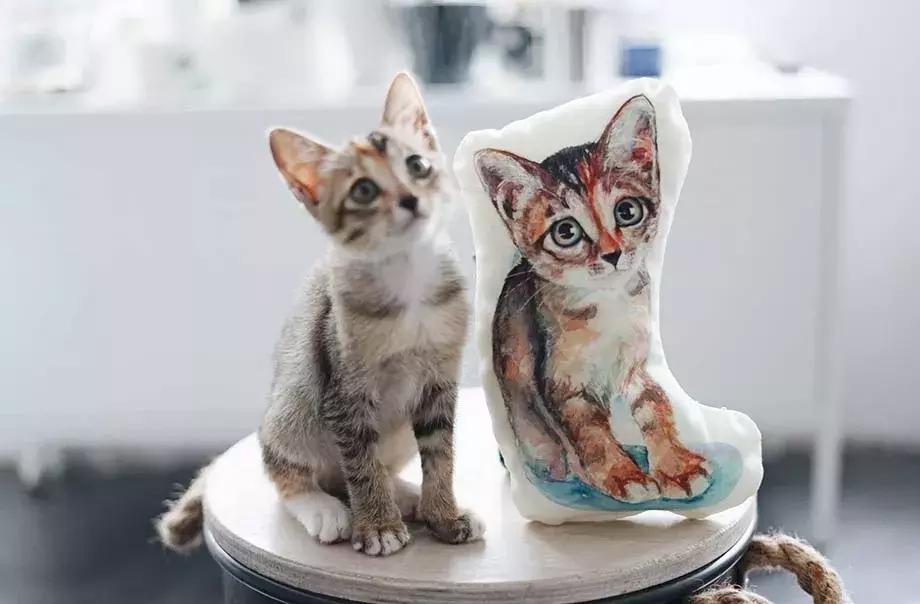 去香港一定要关注的五件事,去香港关注事项和攻略