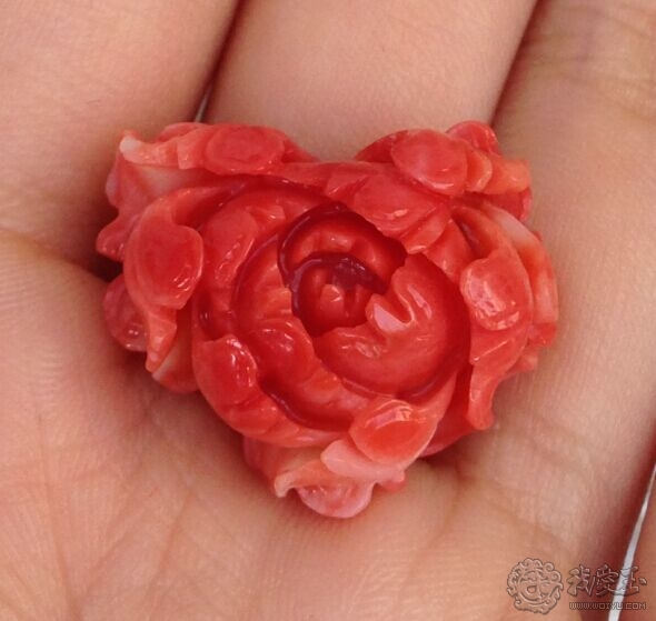 你印象中的珊瑚是怎么样的？关于价格看色的珊瑚究竟如何？来看看