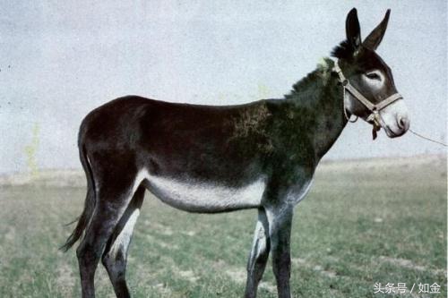 一个能赚钱的项目有哪些,一个能挣钱的行业