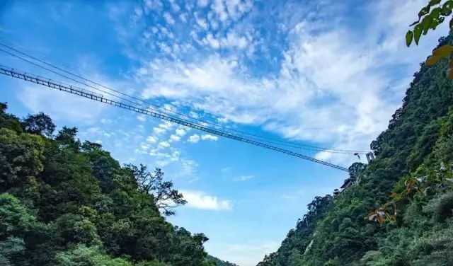 中国最美最刺激的10座玻璃桥，敢约吗？