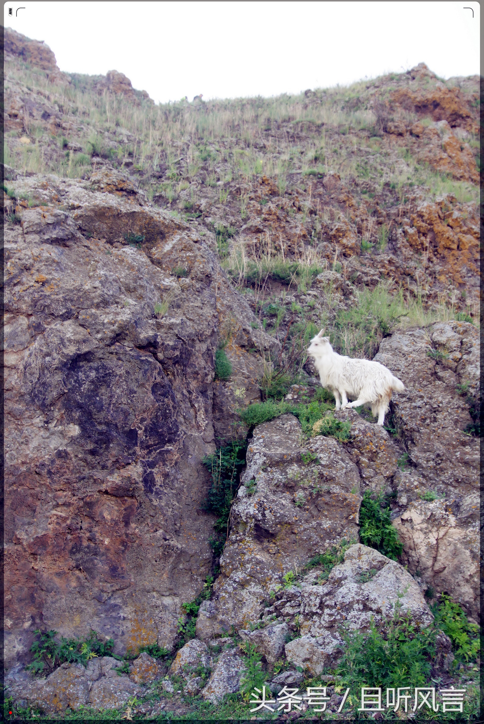 达里诺尔湖到锡林郭勒,锡林郭勒四天三晚旅游攻略自驾游