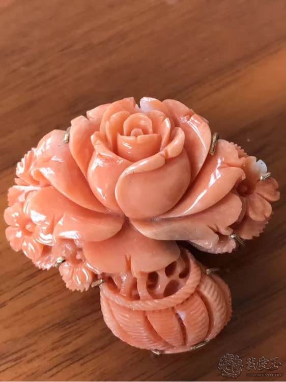 你印象中的珊瑚是怎么样的？关于价格看色的珊瑚究竟如何？来看看