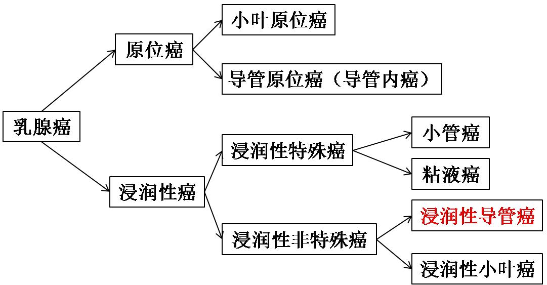 如何读懂乳腺癌病历单,怎么看懂乳腺癌的病理报告
