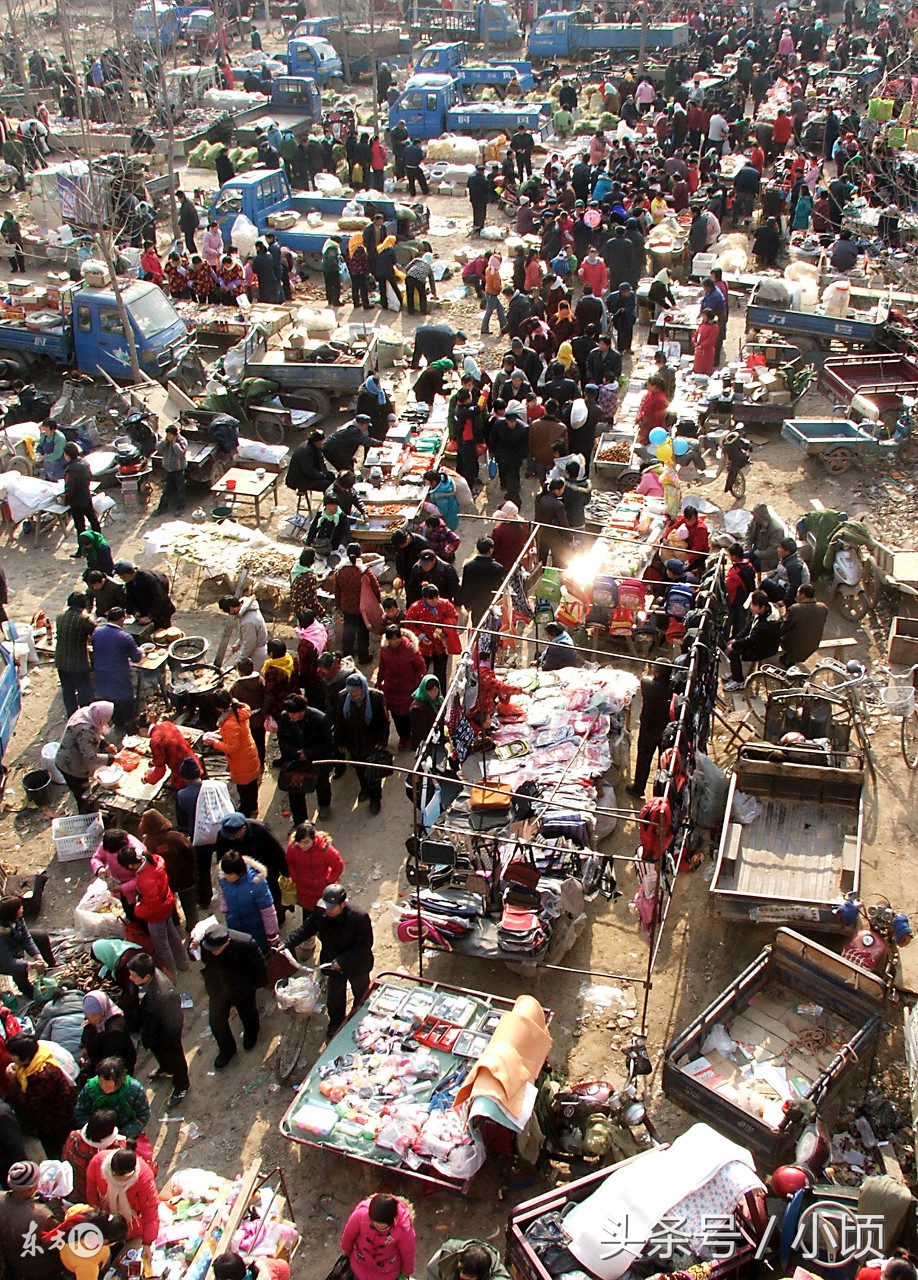 农村创业赚钱项目,农村创业做什么最赚钱