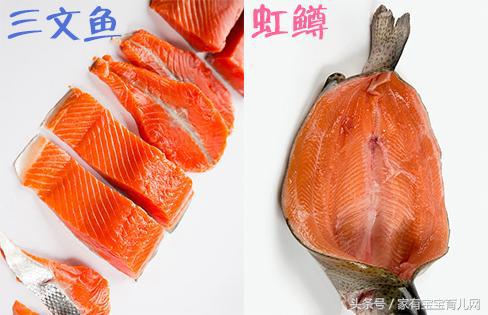 哪些鱼吃了补脑效果好,什么鱼孩子吃补脑效果好