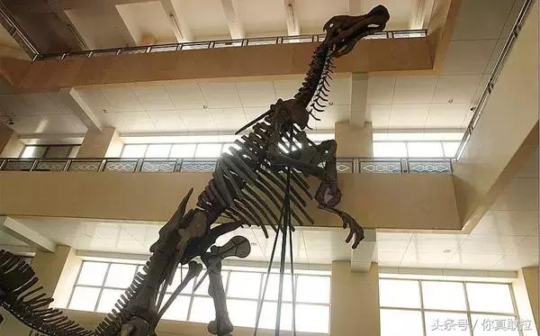 央视《国家宝藏》刷屏！藏在临沂的这25个博物馆你去过几个？