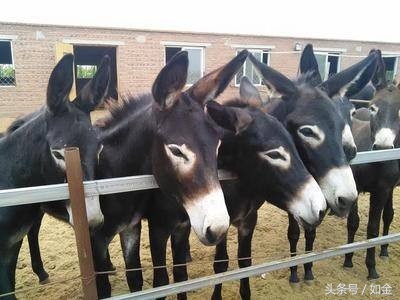 一个能赚钱的项目有哪些,一个能挣钱的行业