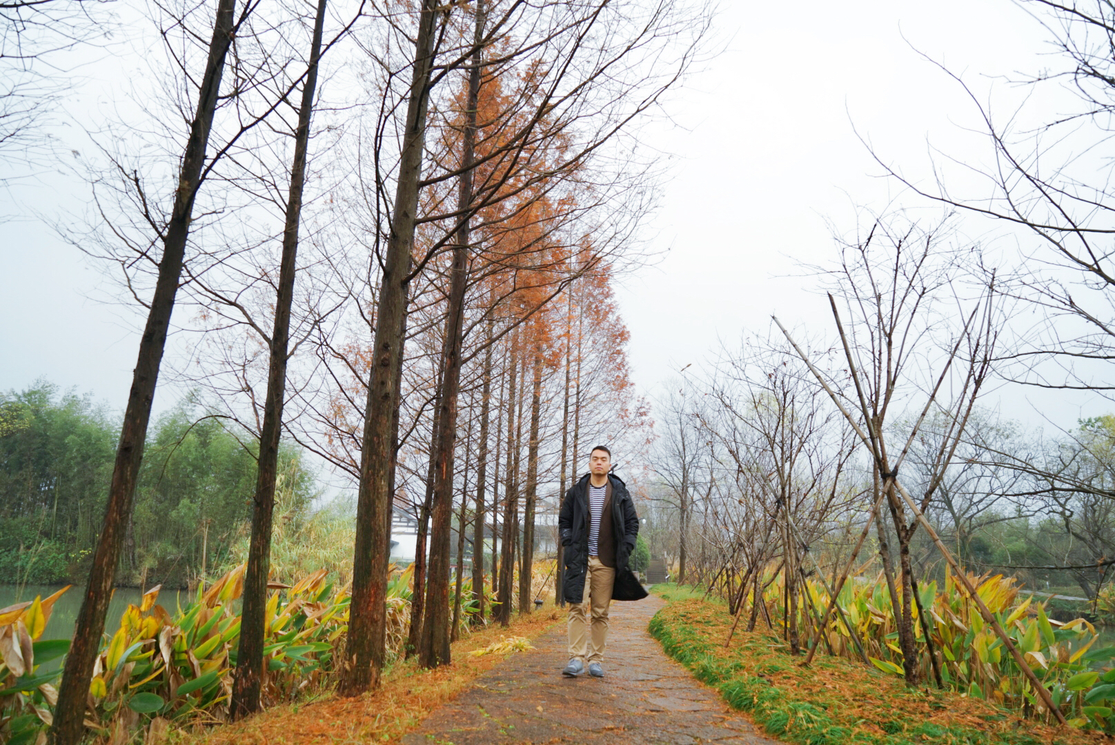 我和玛莎拉蒂的故事,我与玛莎拉蒂的故事