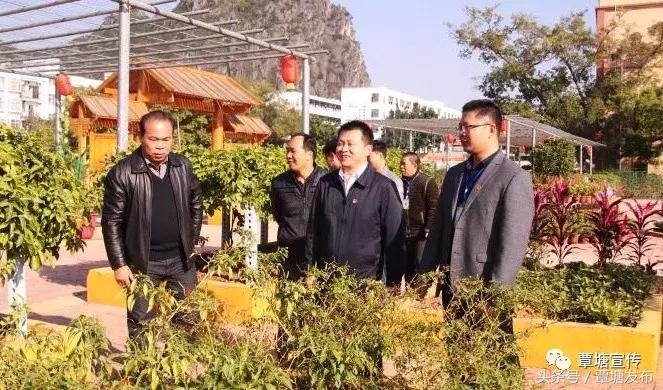 港南区区长殷崇勇,贵港港南殷崇勇