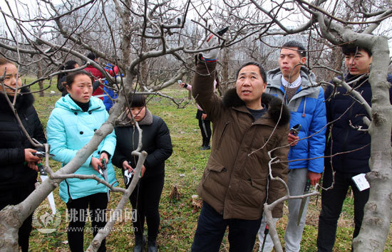 宿州市埇桥区入驻孵化基地,2022年宿州市示范家庭农场名单