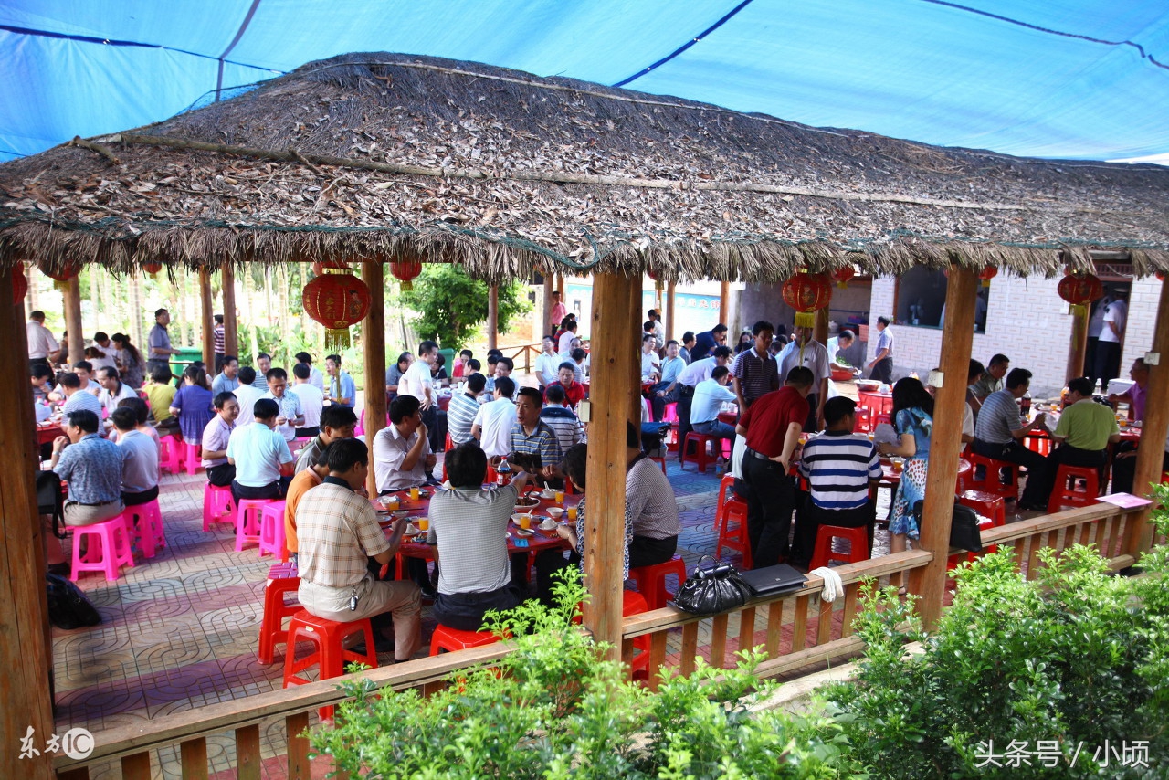 农村创业赚钱项目,农村创业做什么最赚钱