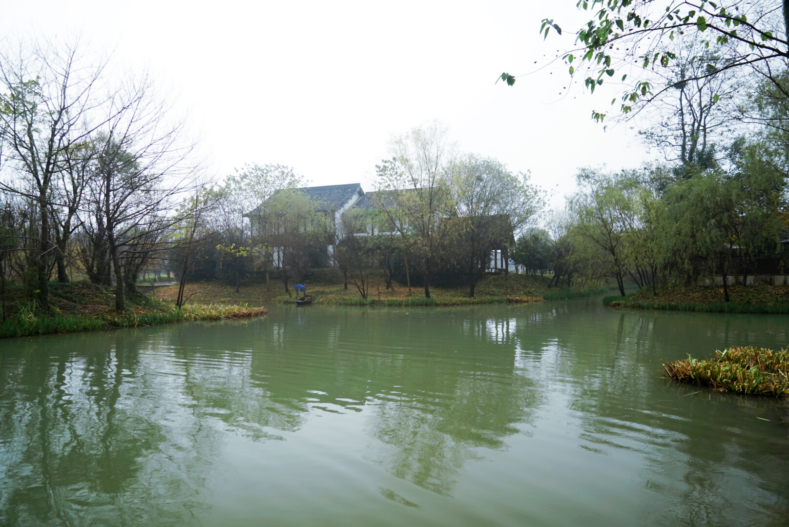 我和玛莎拉蒂的故事,我与玛莎拉蒂的故事