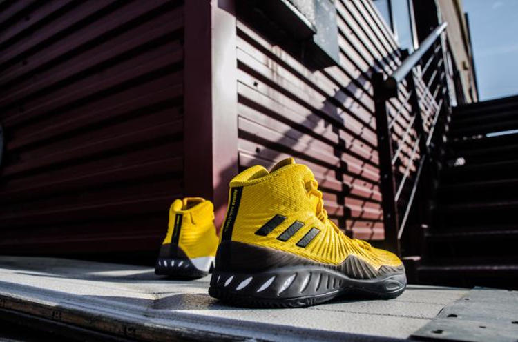 中锋不卖鞋,中锋不卖鞋的原因有哪些