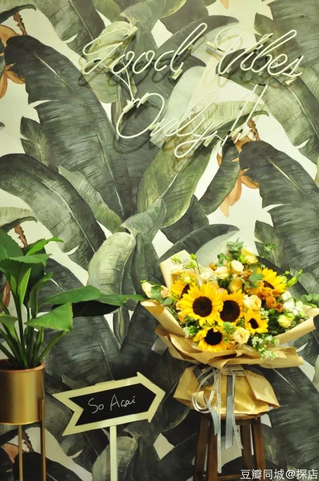 深圳周末活动,广州本周末活动