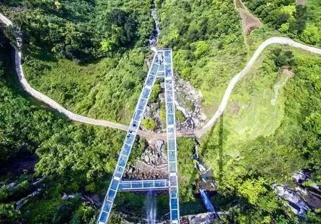 佛山坐高铁可以去重庆吗,在佛山坐高铁去重庆要多久