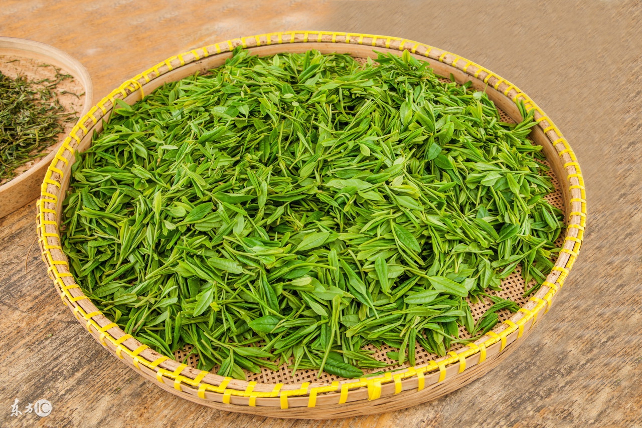 阿里山高山茶的冲泡茶具,高山茶讲解