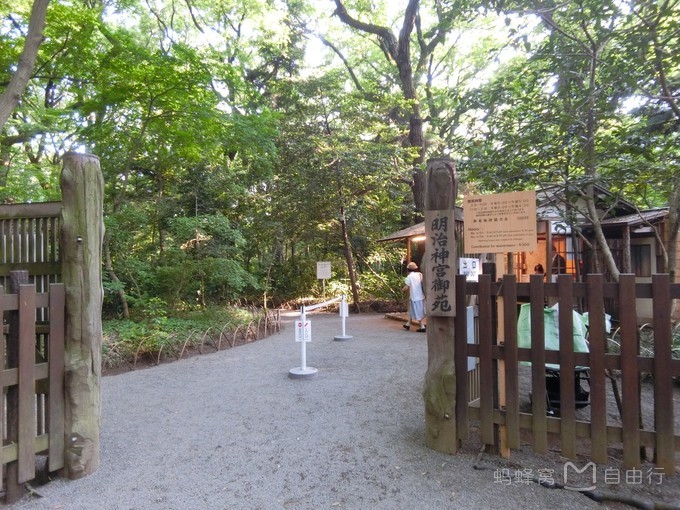 明治神宫参观,明治神宫和哪些景点一起游览好玩