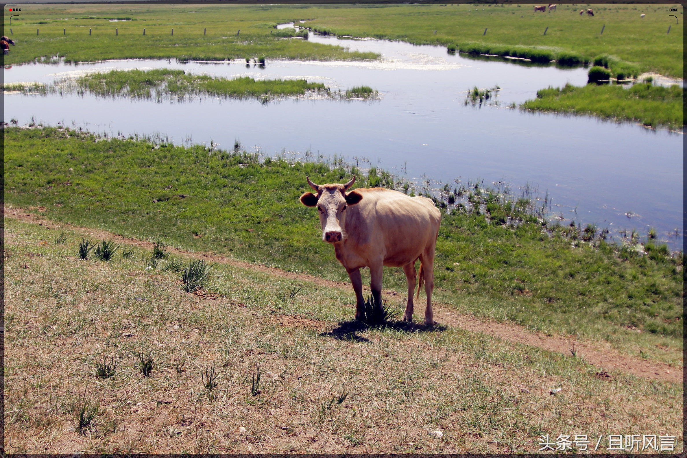 达里诺尔湖到锡林郭勒,锡林郭勒四天三晚旅游攻略自驾游
