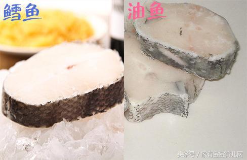 哪些鱼吃了补脑效果好,什么鱼孩子吃补脑效果好