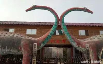 央视《国家宝藏》刷屏！藏在临沂的这25个博物馆你去过几个？