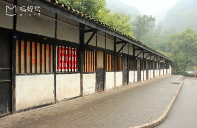 佛山坐高铁可以去重庆吗,在佛山坐高铁去重庆要多久