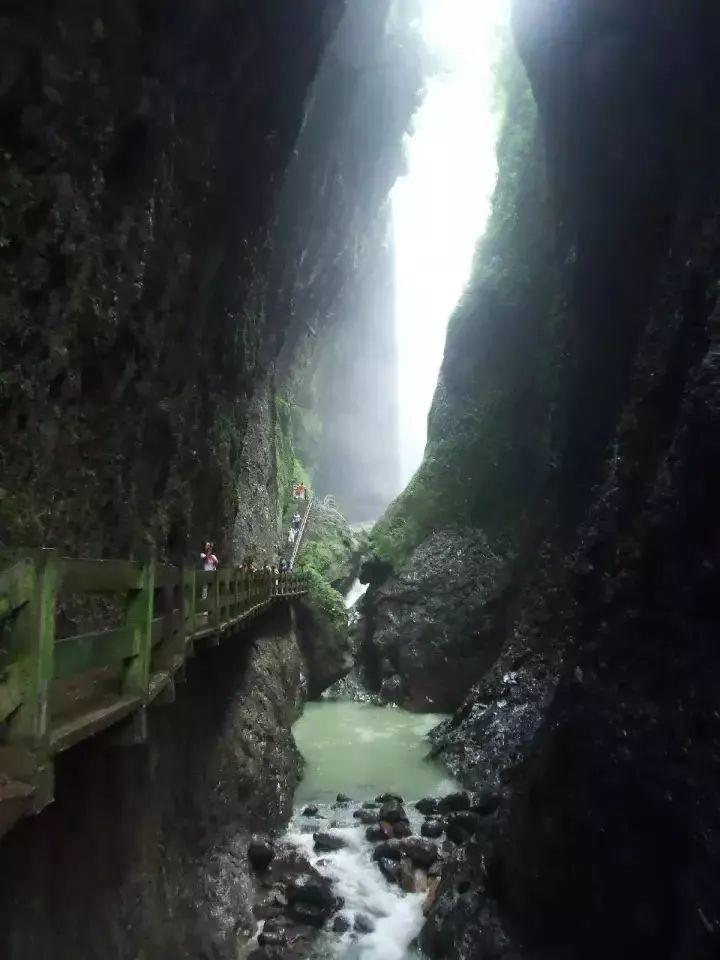佛山坐高铁可以去重庆吗,在佛山坐高铁去重庆要多久
