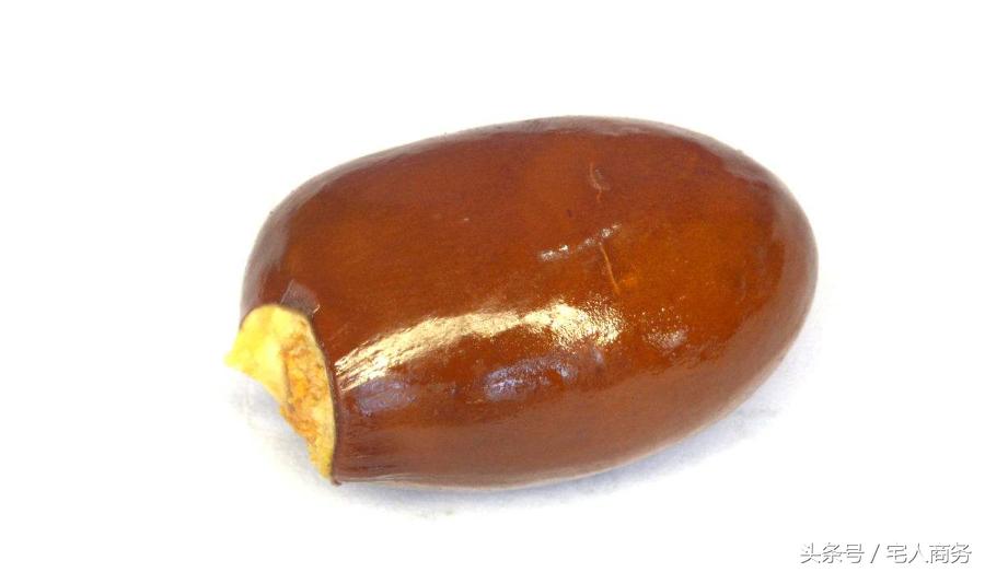 疝气病能吃中药治疗吗,小肠疝气最好的食疗方法