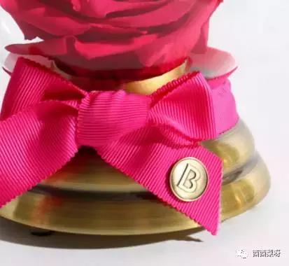 圣诞节一只口红怎么够！转给男朋友暗示一下他！口红我送你！