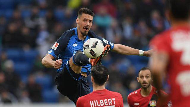 出走半生归来仍是少年,出走半生归来仍是少年视频