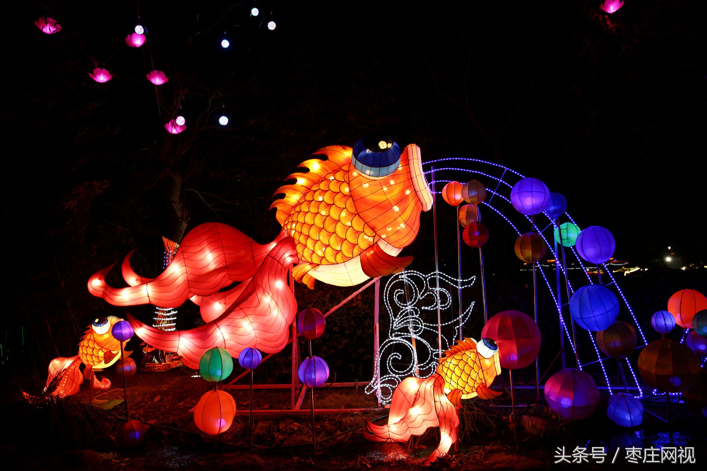 台儿庄花灯节表演,夜游台儿庄古城看灯会