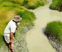 绑钩小技巧学会钓鱼不再难,简单实用的绑钩系法你学会了吗