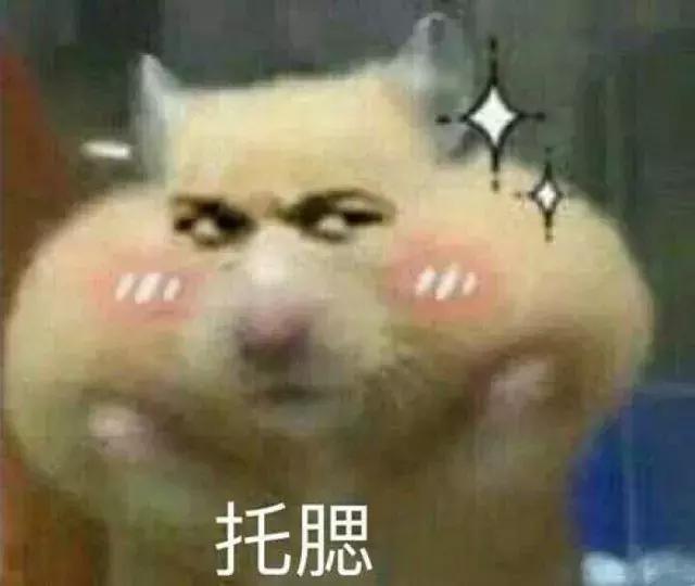 圣诞节必买套装,圣诞套装大推荐开箱