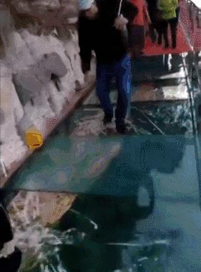 中国最美最刺激的10座玻璃桥，敢约吗？