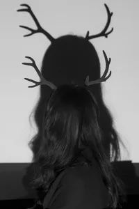 深圳周末活动,广州本周末活动