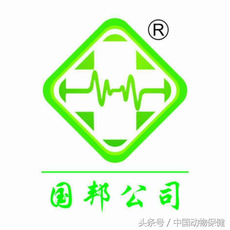 冬季养猪需要关注什么,养猪冬季呼吸道疾病如何预防