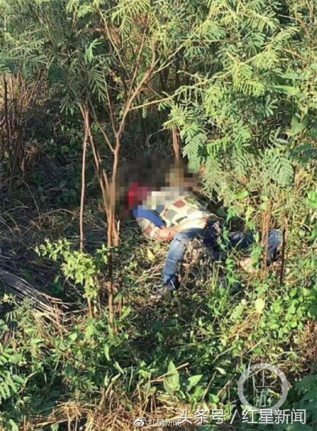 重庆大象救人事件,救旅客被大象踩死的泰国领队