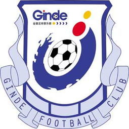 消失的中超球队广州富力,中超江苏苏宁广州富力集锦