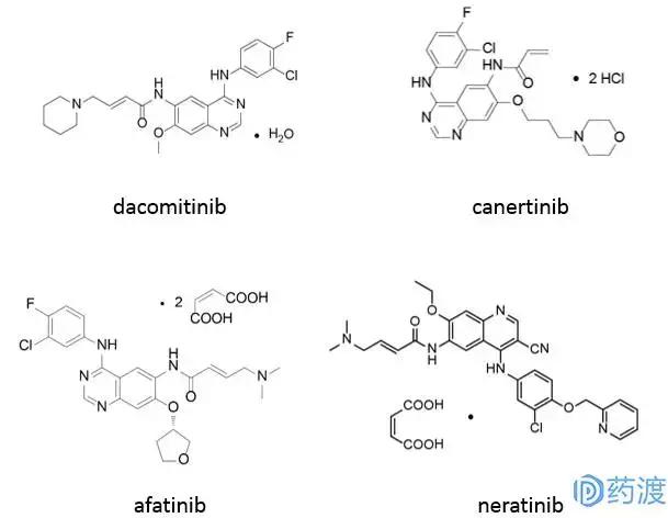 egfr突变非小细胞肺癌临床试验,EGFR肺癌
