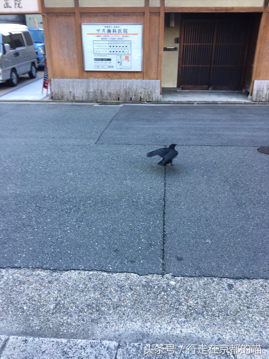 出国后，每天都被这种方式叫起床