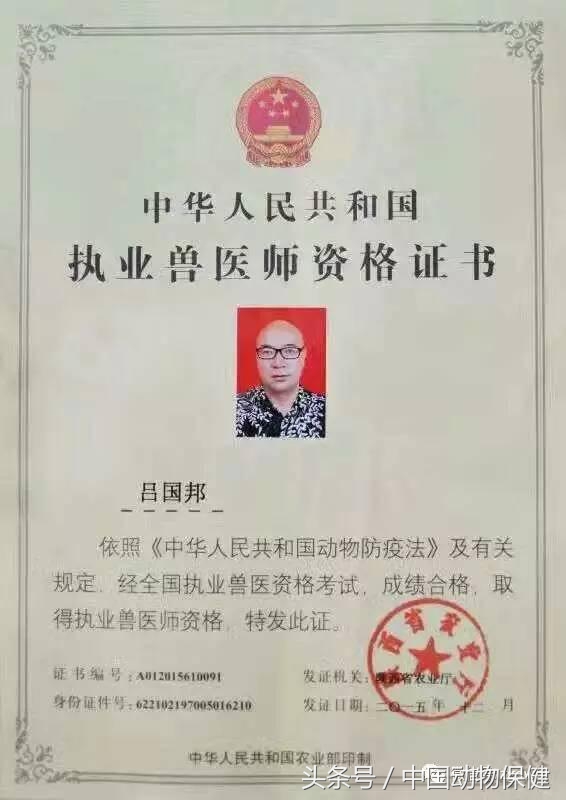 冬季养猪需要关注什么,养猪冬季呼吸道疾病如何预防