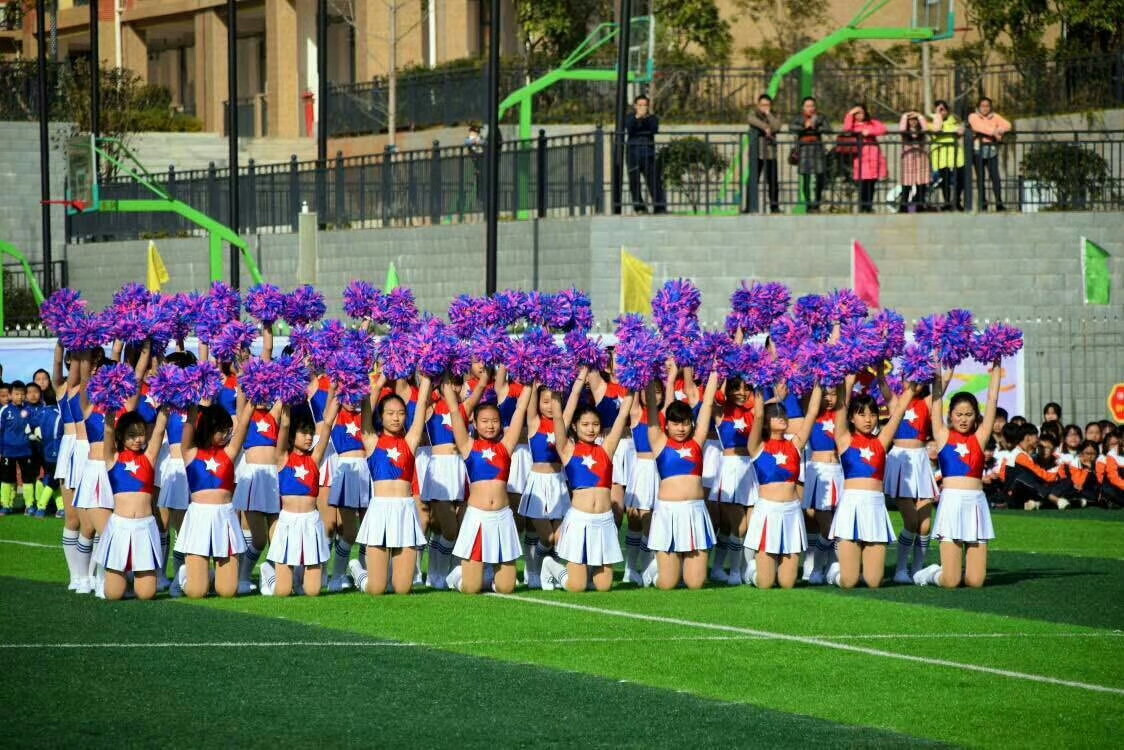 衡阳县中小学生田径运动会,衡阳县英南学校第一届运动会